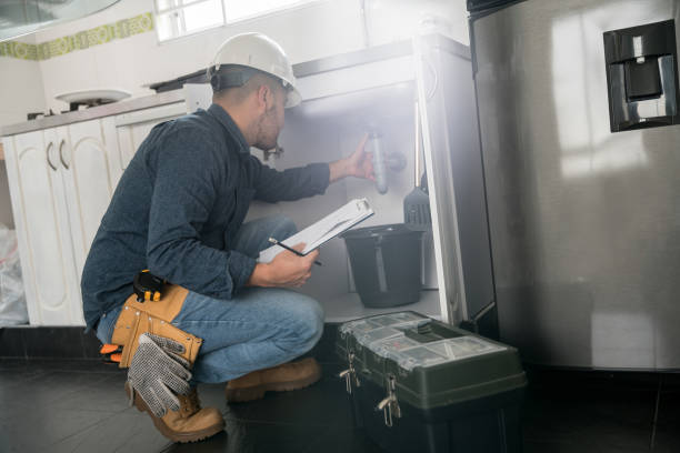 Best Local Plumber Services  in Elephant Butte, NM