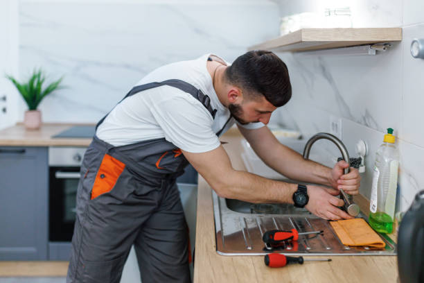 Best Local Plumber Services  in Elephant Butte, NM