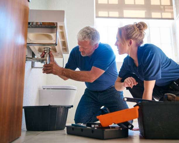 Best Plumbing Inspection Services  in Elephant Butte, NM